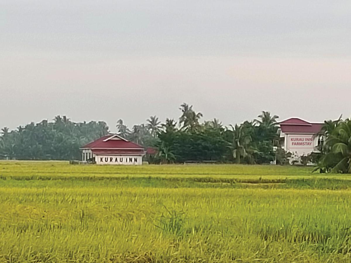 Kurau Inn Farmstay Kuala Kurau Ngoại thất bức ảnh