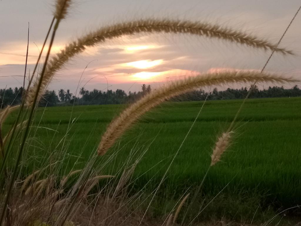 Kurau Inn Farmstay Kuala Kurau Ngoại thất bức ảnh